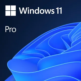 Microsoft Windows 11 Pro 64-Bit OEM EN