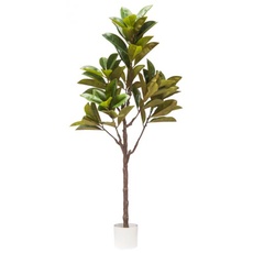 VEA SRL Pflanze G. Magnolia REALTOUCH 160cm 57977