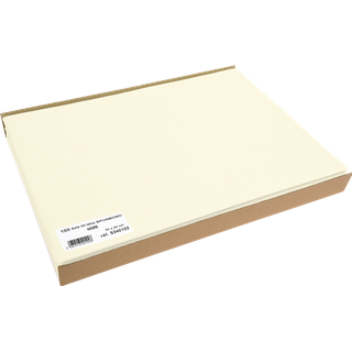 ProNappe 100 PROnappe Platzsets beige 30,0 x 40,0 cm