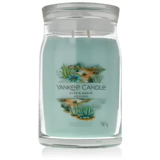 Yankee Candle Aloe & Agave Duftkerze 567 g grün