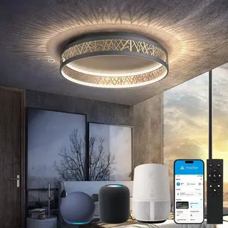 Yuanfenghua LED Deckenleuchte Mit Fernbedienung, Dimmbar Schlafzimmer Lampe with Matter Kompatibel Mit Alexa,HomeKit,Google and eWeLink APP, Rund Schwarz Gold Aushöhlen Design Wohnzimmer Ø50×H12CM