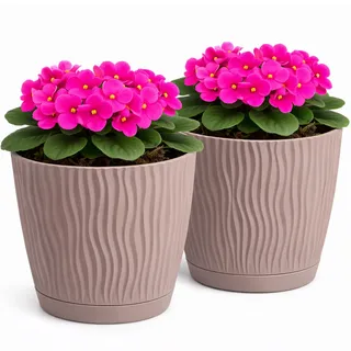 PECZEKO Matte Blumentöpfe - Deko Pflanztopf für Blumen & Kräuter - Langlebige & leichte runde Kunststoff-Pflanzentöpfe für Wohn- Esszimmer, Küche, Terrasse, Balkon - 2er-Set - (Braun, ø 15 cm)