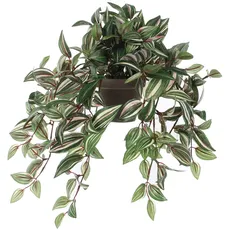 Bild Kunstpflanze Tradescantia grün, im Topf – L 45 x B 25 cm
