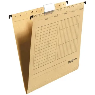 Falken Hängemappen UNIREG natronbraun