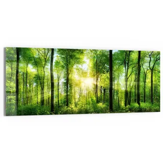 DEQORI Glasbild Echtglas | Motiv Sonne durchbricht Wald | horizontal einteilig 150x60 cm | schöne Dekoration | Wandbild für Wohnzimmer, Schlafzimmer, Flur & Küche | moderne Wanddeko