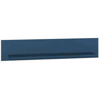 Feldmann-Wohnen Wandboard 120 x 23 x 22 cm Blau
