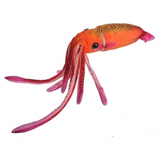 Bild von Tintenfisch orange