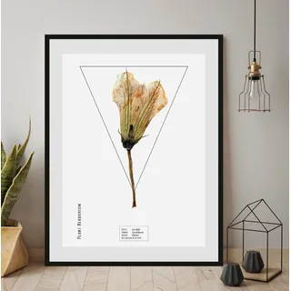 Bild QUEENCE "Cucurbita", gelb (farbe rahmen: schwarz, farbe bild(er): gelb), B:50cm H:70cm, Acrylglas, Holz, Papier, Bilder, Bild, HD Premium Poster-Druck inkl. Holzrahmen