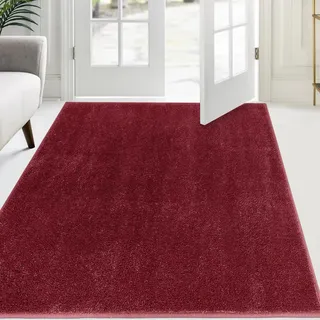 FCSDETAIL Schmutzfangmatte Innen 120 x 180 cm, rutschfeste Sauberlaufmatte, Eingangstürmatte mit Wasserabsorbierenden, Fussmatte Waschbarer Teppich Wohnzimmer Schlafzimmer