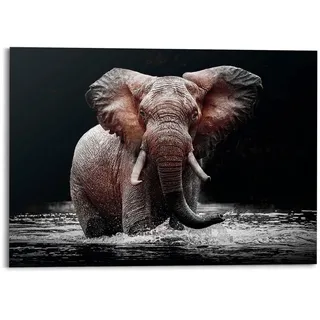 Deco-Panel REINDERS "Elefant", schwarz (farbe bild(er): schwarz), B:140cm H:100cm T:2cm, MDF, Bilder, Deco-Panel