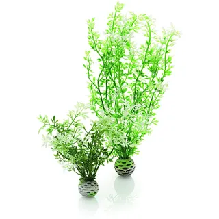 biOrb 46067 Winterblume Set 2, grün - Deko-Set für Aquarien, zwei künstliche Blumen mit weißen Blüten, für Süßwasseraquarium, Meerwasseraquarium