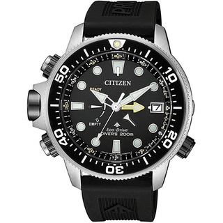 Citizen BN2036-14E