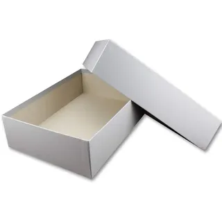 Geschenk- und Aufbewahrungsbox DIN A4 - Karton mit Deckel - 1 Stück - Farbe: Silber irisierend schimmernd - 302 x 213 x 70 mm