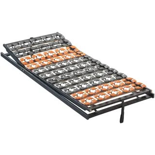 Dieter Knoll Tellerlattenrost , Holz , Buche,Birke, Buche , 80x200 cm , Austria Gütezeichen, Made in Austria , Tellerauflagen, verstellbar, alternative Größen erhältlich , Schlafzimmer, Lattenroste, verstellbare Lattenroste