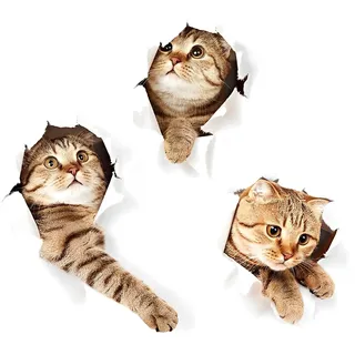 WandSticker4U®- 3x 3D KATZEN XL zum Kleben I Wandsticker WC Aufkleber Toilettendeckel 3D Katzen selbstklebend I Wandtattoo Tier Küche Bad Möbel Tür- & Kühlschrank-Aufkleber