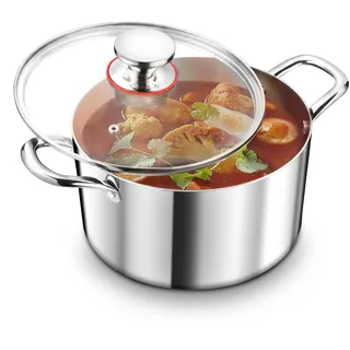TEAMFAR Kochtopf Groß 26cm, 3-Lagen Edeastahl 6,6L Topf mit Glasdeckel für alle Herdarten, Suppentopf Induktion, Edelstahl poliert & Unbeschichtet
