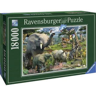 Ravensburger An der Wasserstelle (17823)