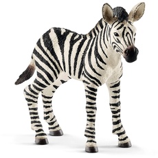 Bild von Wild Life Zebra Fohlen 14811