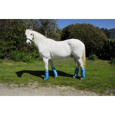 Rhinegold 0 Elite Half Length Travel Boots-Pony-Turquoise Reisestiefel, türkis