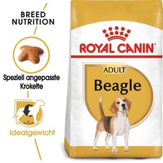 Bild Beagle Adult 12 kg