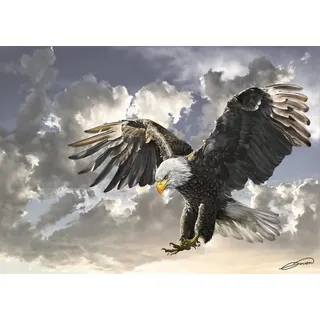 ART PUZZLE Puzzle Schwarz und weiß 500 Teile