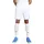 Puma teamGOAL Shorts 705752