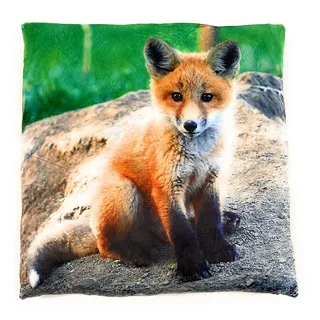 Onwomania Fuchs Wildhund Wald Plüsch Kissen für Sofa oder Bett als Deko, Dekoration oder Kuschelkissen 35x35 cm