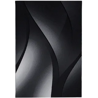 Ayyildiz Plus 8010 Webteppich 160 x 230 cm Schwarz/Weiß