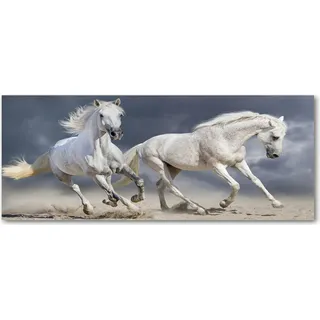 Tulup® Küchenrückwand Spritzschutz aus Glas -125x50 -Spritzschutz auf gehärtetes Glas Deko Tiere Strand weiße Pferde - Weiß