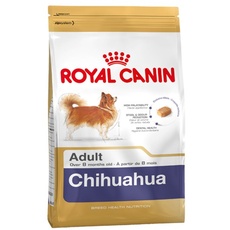 Bild Chihuahua Adult 3 kg