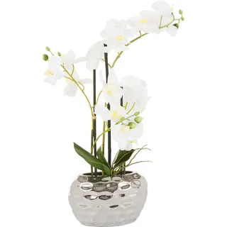 Leonique Kunstpflanze »Orchidee« Kunstorchidee, im Topf, Bestseller, über 2500 4,5-Sterne-Bewertungen, bunt