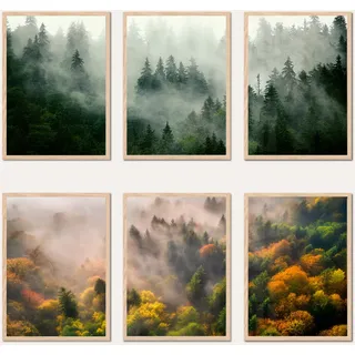 AG Design® DOPPELSEITIGES Set mit 3 Natur-Postern und Kunstdrucken | 3 Stk. x 30 x 42 cm | Für Schlafzimmer, Wohnzimmer, Küche und Büro | Ohne Rahmen| AP3 351460