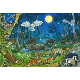 Schmidt Spiele Schmidt 56529 Tiere nachts im Wald Kinderpuzzle, 100 Teile