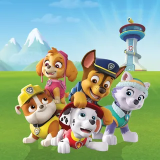 Bönninghoff Leinwandbild "Wandbild PAW PATROL 35x35 cm – Leinwandbild Keilrahmen Deko modern" Filmfiguren 1 Stk. tlg. auf Keilrahmen gespannt, farbe rahmen: kein rahmen, farbe bild(er): blau, weiß, grün