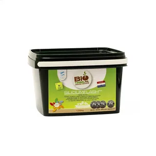 Biotabs Silicium Flash 1,25 kg
