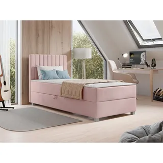 Mirjan24 Viki 90 x 200 cm H3 Rosa