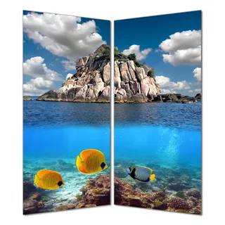 Wallario selbstklebende Duschrückwand 160 x 200 cm mit Motiv Exotische Fische im Meer - Wandverkleidung mit Hochglanzlaminat in Glasoptik
