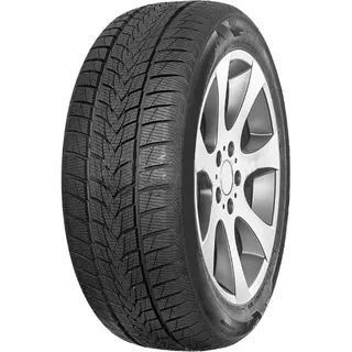 MINERVA Frostrack Uhp 225/40 R18 92V XL