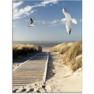 ARTland Glasbild »Nordseestrand auf Langeoog mit Möwen«, Strand, (1 St.), in verschiedenen Größen, blau