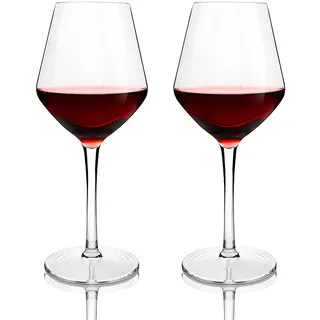 shallyong 2 Stück Weingläser Plastik 425ml, Wiederverwendbare Rotweingläser Kunststoff, Weinglas Kunststoff für Hochzeit, Geburtstage, Party, Grillabende, Camp