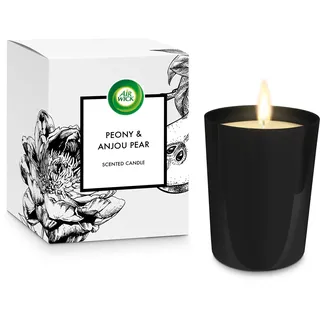 Airwick Premium-Serie Duftkerze 290 g schwarz