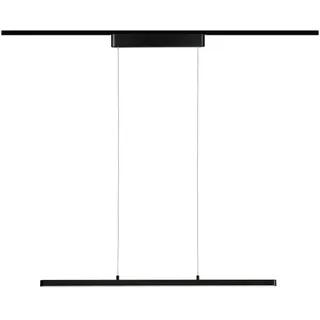 Paulmann Lento 41W 2700K dimmbar 230V", LED-Modul 1, Stk., Warmweiß, schwarz