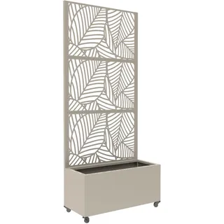 casa.pro Surnskoki 82 x 38 x 190 cm Knoblauchbeige