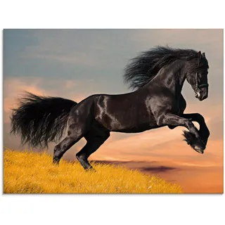 Artland Glasbild »Friesischer Hengstgalopp« Haustiere 1 Stk. tlg. in verschiedenen Größen, schwarz