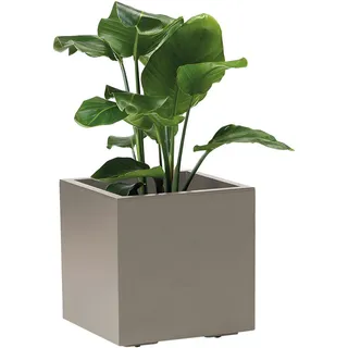 Euro3Plast Blumenkasten 40 x 40 x 40 cm Taupe