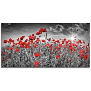 Artland Glasbild »Idyllisches Mohnblumenfeld mit Sonne« Blumen 1 Stk. tlg. in verschiedenen Größen, schwarz