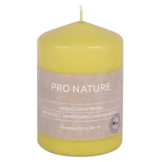 Müller Kerzen "PRO NATURE" Stearin Stumpenkerze 100/68mm, Nachhaltige Kerzen mit natürlichen Inhaltsstoffen in einer modernen kleinen Form, 1 Packung = 6 Stück, honig