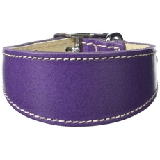 BBD Pet Products Hundehalsband, italienisches Grau, Einheitsgröße, 1,3 x 20,3 cm bis 25,4 cm, Violett