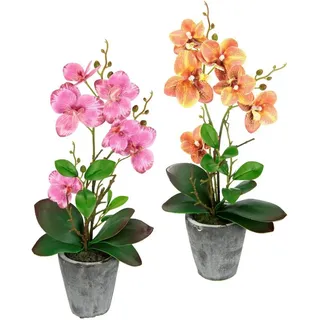 I.GE.A. "Orchidee", Mit Blättern und Luftwurzeln, im Topf aus Keramik, 2er Set,