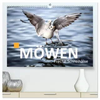 MÖWEN Freche Schreihälse (hochwertiger Premium Wandkalender 2026 DIN A2 quer), Kunstdruck in Hochglanz: Möwen zu fotografieren ist immer wieder faszinierend (CALVENDO Natur)